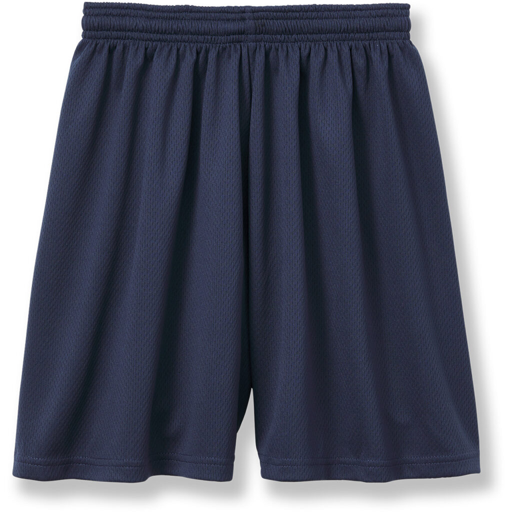 Visitation Adult Navy Mesh Gym Shorts